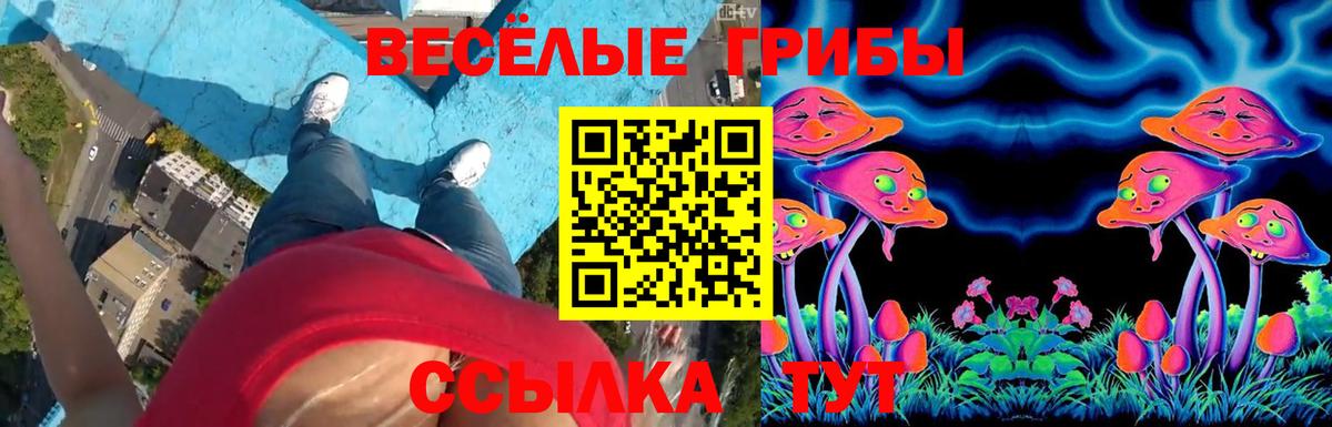 Галлюциногенные грибы ЛСД  Вход с VPN  Верхняя Пышма 